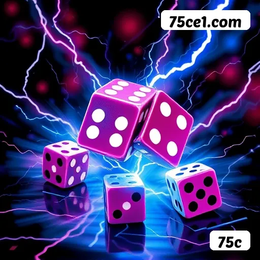 75c - Installation Guide